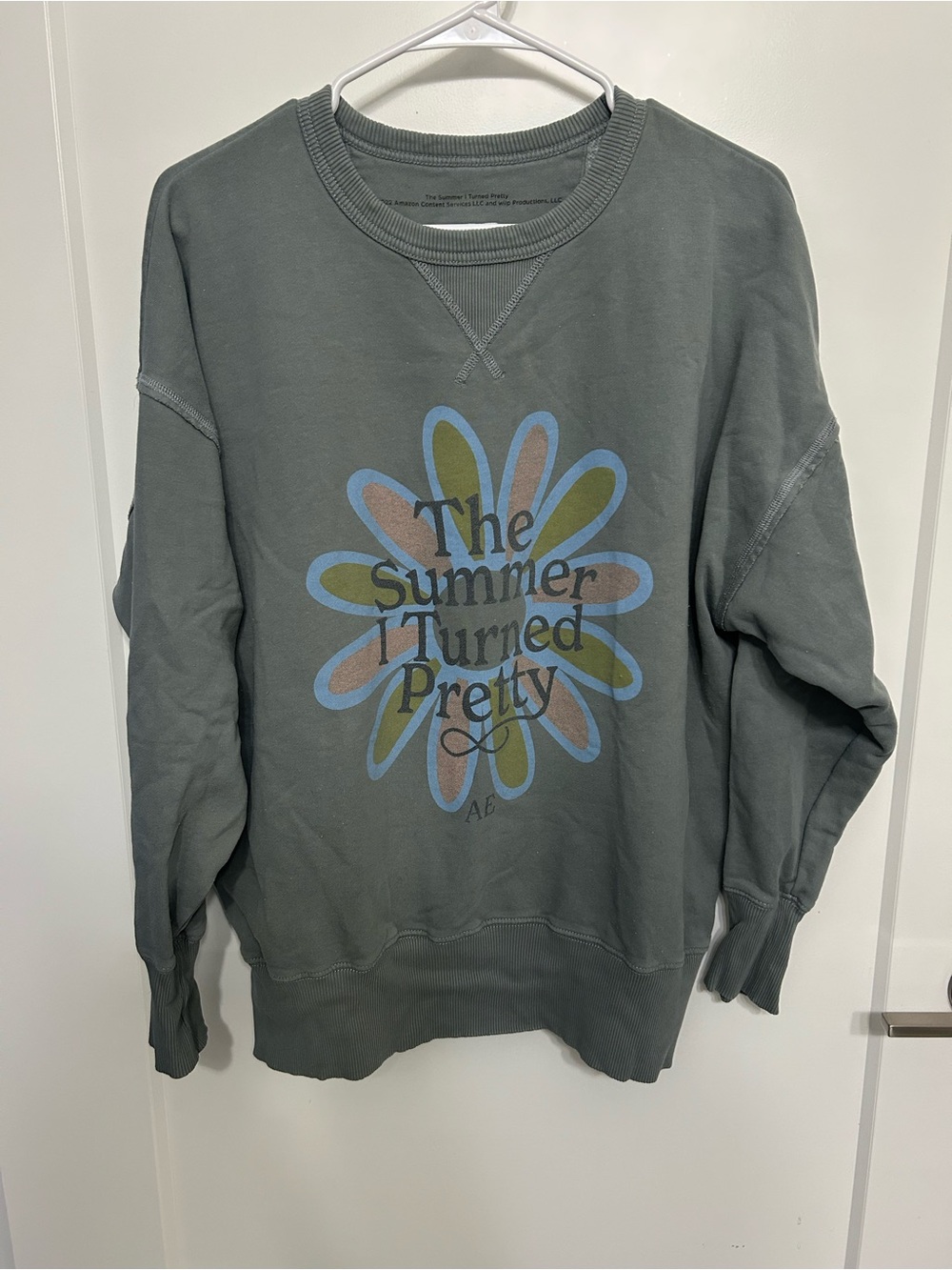 American Eagle x The Summer I Turned Pretty Sage Green Crewneck Sweatshirt